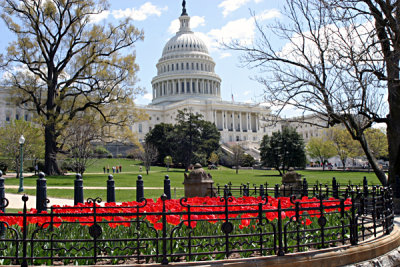 The Capital o3