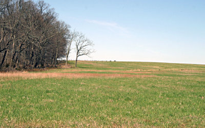 Gettysberg Confederate-Battery