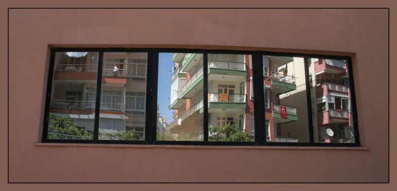 Window
