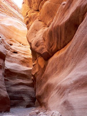Fantasy  of  Shapes & Colors  in Red Canyon