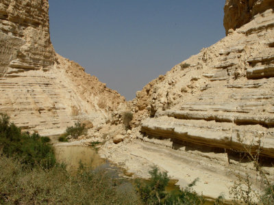 Ein Ovdat canyon