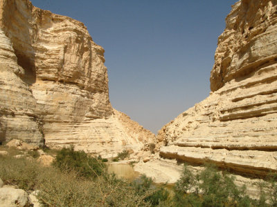 Ein Ovdat canyon