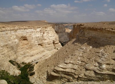 From the top of  Ein Ovdat Canyon