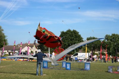 Le scarabe et l'albatros