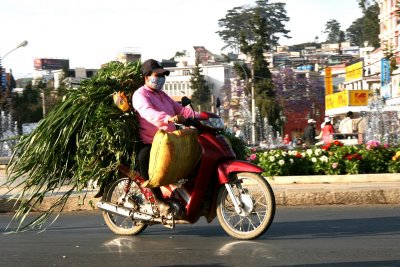 Dalat - Vietnam