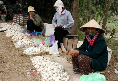 Vendeuses d'oeufs - Le Mat - Vietnam