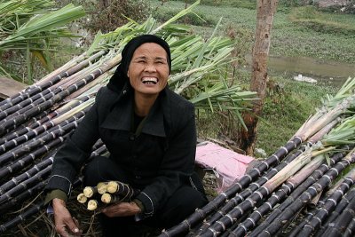Vendeuse de canne  sucre - Le Mat - Vietnam