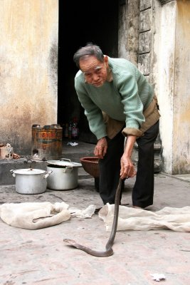 L'homme aux serpents - Le Mat - Vietnam