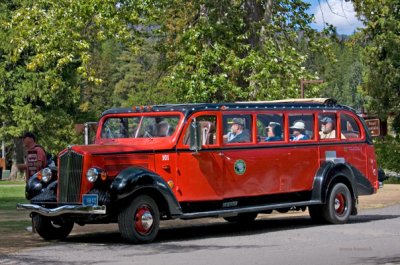 zP1010764 Tour bus in Apgar - Glacier National Park      Montana.jpg