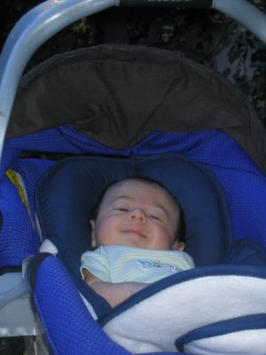 Max 5-6 weeks