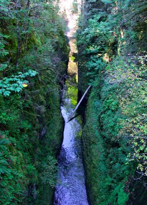 Eagle Creek