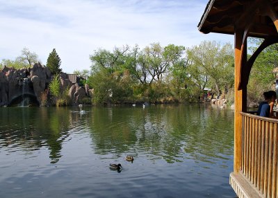 Albuquerque Zoo