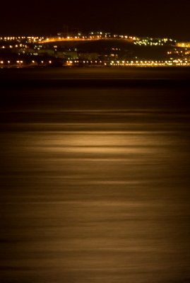 IMG_0519pf.jpg