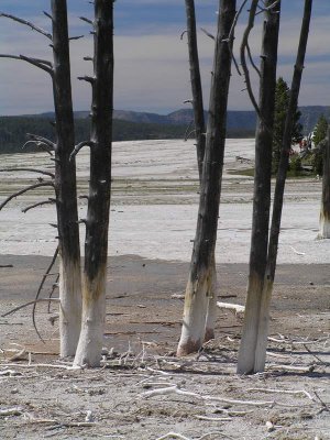 Yellowstone National Park