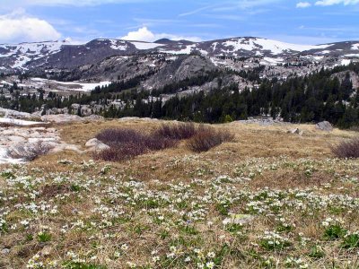 Beartooth Mountain