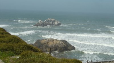 SealRocks.jpg