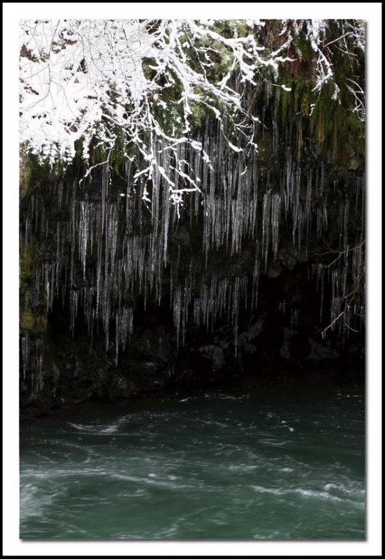 Steelhead hole and icicle