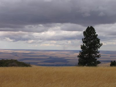 vista into the wheat plains