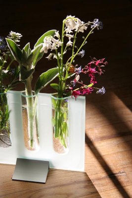 spring flowers - backlit vase3