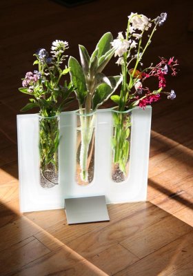 spring flowers - backlit vase2