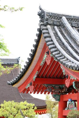 roof