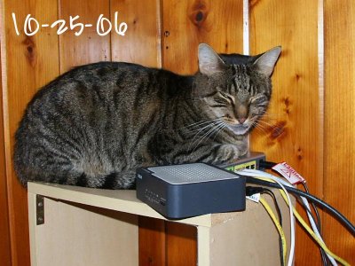 Blinken has found a warm place to hang out this winter...... on my modems.
He prefers the vonnage phone modem to the internet modem because it has more surface space.
He didnt tell me that; Im just guessing thats the reason.