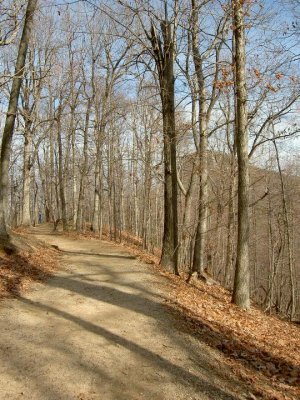 1-14-07 hr 011.jpg