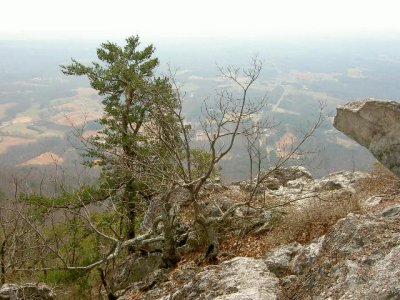 3-14-07 036.jpg
