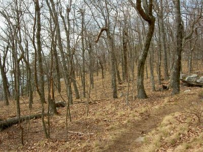 3-14-07 038.jpg