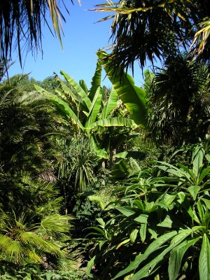 Jardin Georges Delaselle, Brittany, France