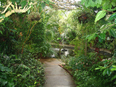 Roath Park Conservatory, Cardiff, Wales