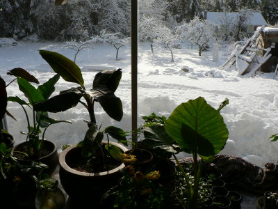 Snow and more snow