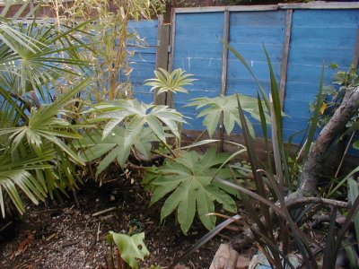 29 April 2007