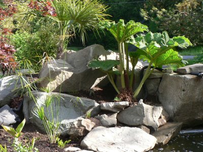 Pond bed