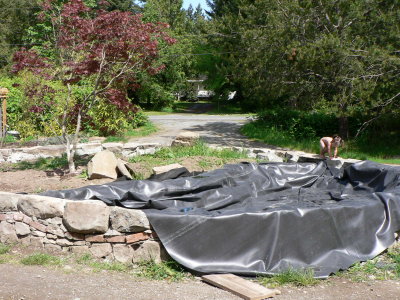 p1030351.jpg