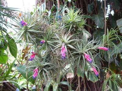 19-05-2007 15-15-11_0004.JPG
