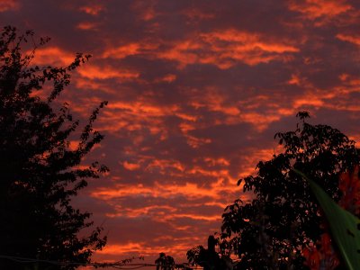 Red Sky - September Morning