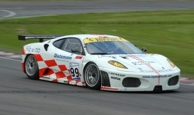 dsc_3646_std.jpg