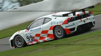 dsc_4338_std.jpg