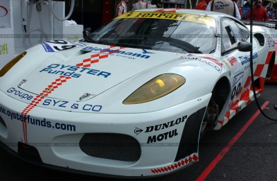 dsc_4995_std.jpg