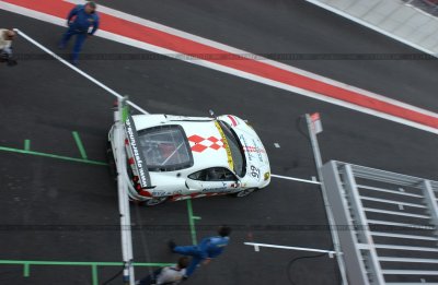 dsc_5296_std.jpg