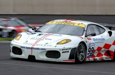 dsc_5441_std.jpg