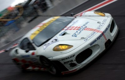 dsc_5489_std.jpg