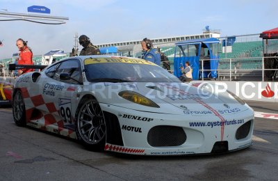 dsc_3000_std.jpg
