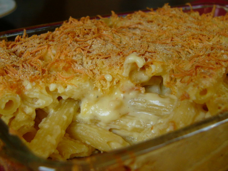 Penne Cheese Sauce Bechamel