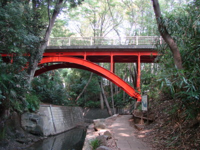 Todoroki Valley