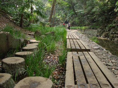 Todoroki Valley