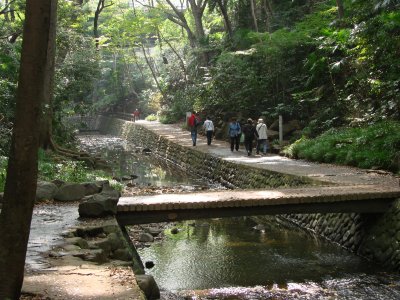 Todoroki Valley