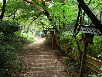 Todoroki Valley