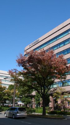 Tsurumi